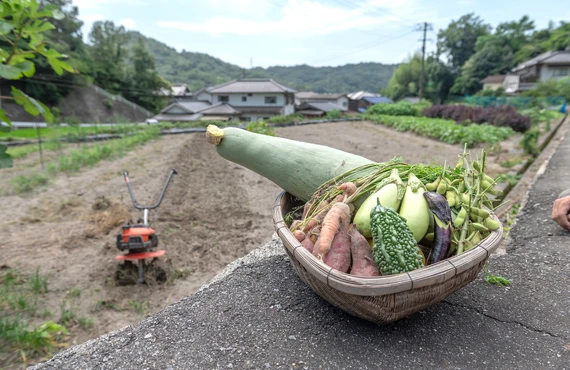 安心・安全のお米販売：産地直送で新鮮な味を楽しもう！広島県広島市のお米ならほく農園